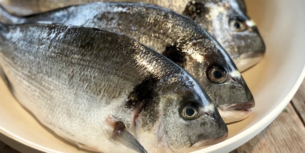 NoordAfrikaanse dorade met chermoula BBQ Experience Center BE