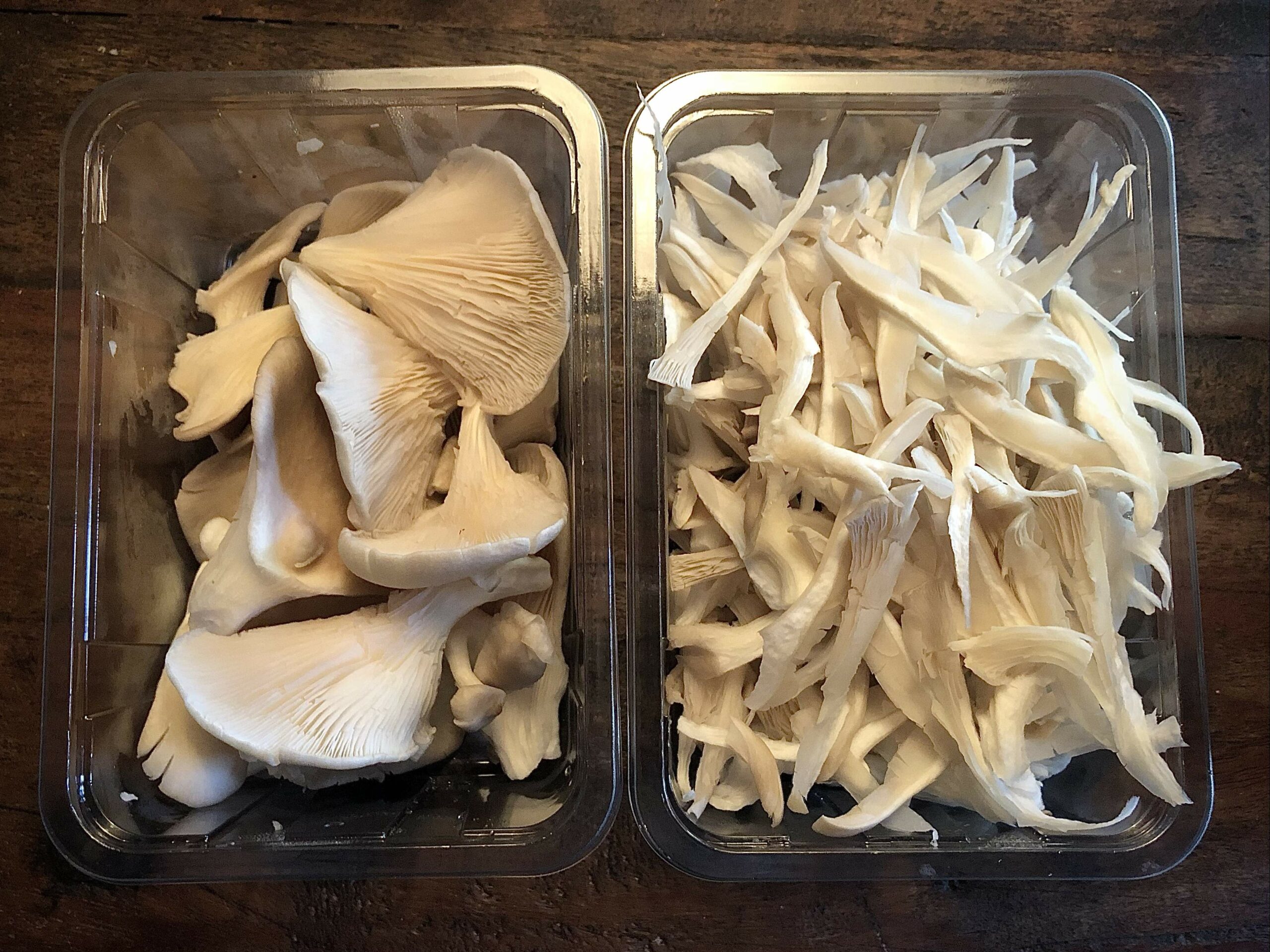 Oesterzwam in reepjes