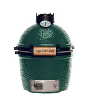 Big Green Egg Mini - zonder onderstel