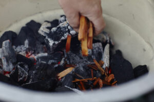 Houtsnippers (wood chips)