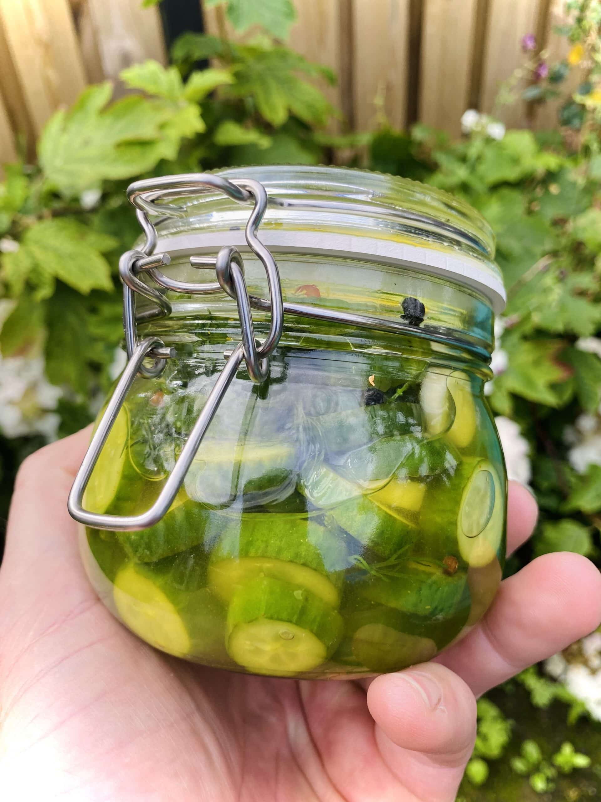 Zoet-Zure-komkommer-Wheckpot-Recept-Defikerin-BBQ