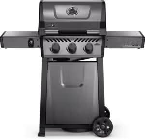 Napoleon Freestyle 365