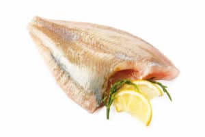 CHEFSCATCH-Schol-op-de-graat