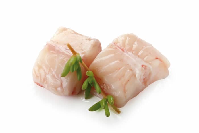 CHEFSCATCH-Zeeduivelmoot