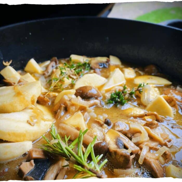 Spotlight-stoven-paddenstoelenstoof