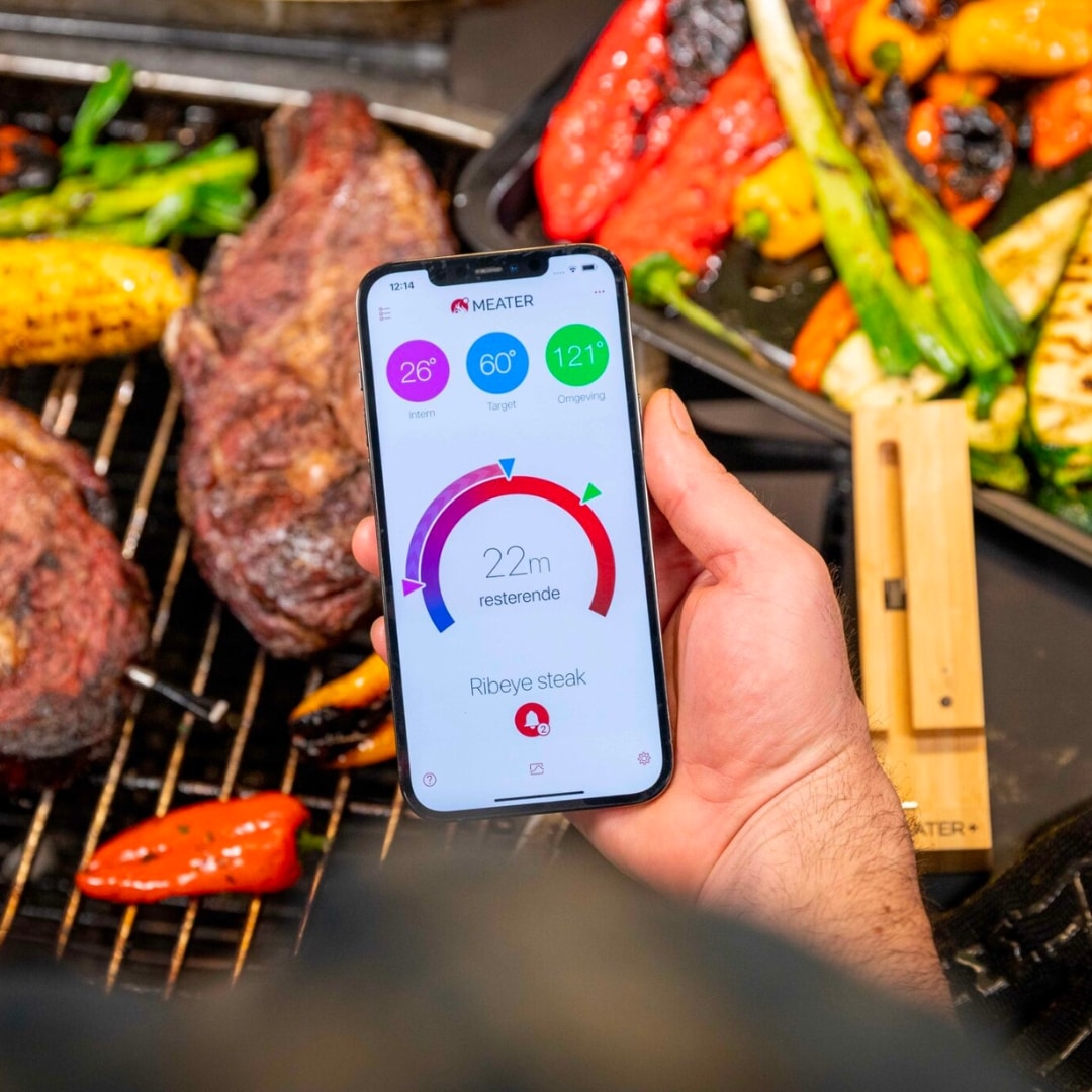 BBQ-trends-2024-Meater-2-plus