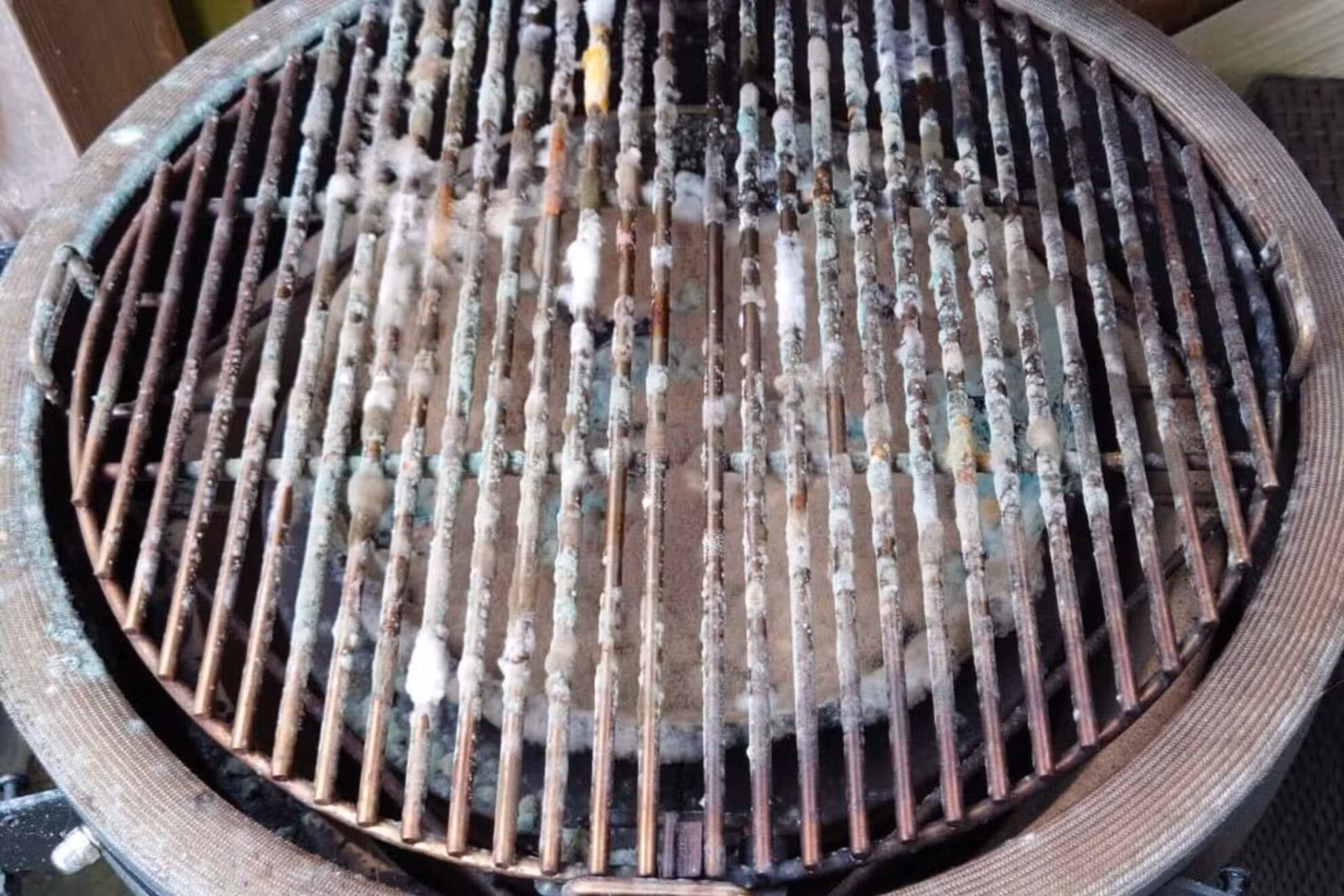 BXC-schimmel-verwijderen (1)