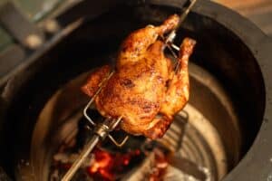 Kip-aan-het-spit-Larissa-9