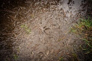 Proef-en-beleef-wild-workshop-15