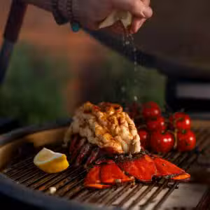 kamado-joe-big-joe-konnected-joe